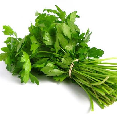 Coriander Essential Oil Egypt 5